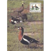 MÁXIMOS POSTAIS - 1985 - ALEMANHA ORIENTAL - FAUNA GERAL 