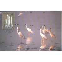 CHINA - MÁXIMOS POSTAIS - FAUNA GERAL - 1986