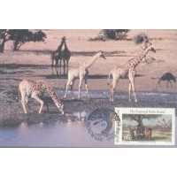 BOTSWANA - MÁXIMOS POSTAIS - 1988 - FAUNA GERAL 