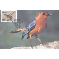 VENDA - MÁXIMOS POSTAIS - 1991 - FAUNA GERAL 
