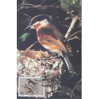 VENDA - MÁXIMOS POSTAIS - FAUNA GERAL  - 1991