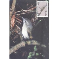 VENDA - MÁXIMOS POSTAIS - 1991 - PASSARO