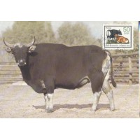 ALEMANHA ORIENTAL -1985 - FAUNA GERAL - MÁXIMOS POSTAIS 