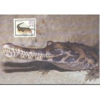 MÁXIMOS POSTAIS - ALEMANHA BERLIN - 1985 - FAUNA GERAL 