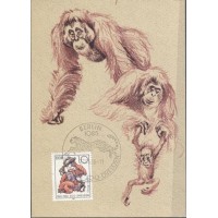 MÁXIMOS POSTAIS - ALEMANHA ORIENTAL- 1986 - FAUNA GERAL 