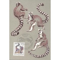ALEMANHA ORIENTAL - 1986 - MÁXIMOS POSTAIS - FAUNA GERAL 