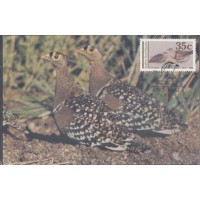 BOTSWANA - MÁXIMOS POSTAIS - FAUNA GERAL - 1990