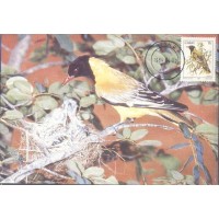 CISKEI - MÁXIMOS POSTAIS - 1984 - FAUNA GERAL 