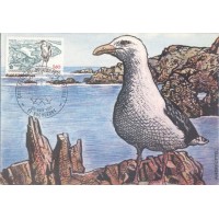 FRANÇA - MÁXIMOS POSTAIS - 1981 - FAUNA GERAL 