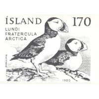 ISLAND - MÁXIMOS POSTAIS - 1980 - FAUNA GERAL 