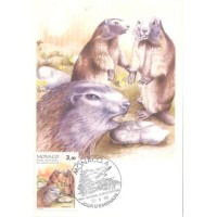 MÁXIMOS POSTAIS - MONACO - 1986 - FAUNA GERAL 