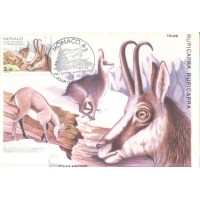 MONACO - 1986 - MÁXIMOS POSTAIS - FAUNA GERAL 