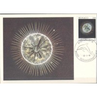 MÔNACO - 1991 - MUSEU OCEANOGRAPHIQUE - MÁXIMOS POSTAIS