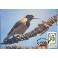 NZEHELELE - 1985 - FAUNA GERAL - MÁXIMOS POSTAIS NZEHELELE - 1985 - FAUNA GERAL - MÁXIMOS POSTAIS