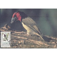 NZEHELELE - MÁXIMOS POSTAIS - FAUNA GERAL - 1985 NZEHELELE - MÁXIMOS POSTAIS - FAUNA GERAL - 1985