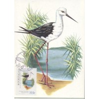PORTUGAL  - MÁXIMOS POSTAIS - FAUNA GERAL  - 1982