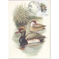 PORTUGAL - MÁXIMOS POSTAIS - 1982 - FAUNA GERAL 