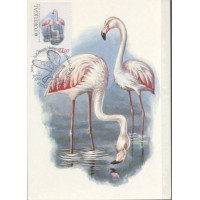 PORTUGAL - FAUNA GERAL - MÁXIMOS POSTAIS - 1982