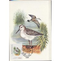 MÁXIMOS POSTAIS - PRTUGAL - 1982 - FAUNA GERAL 