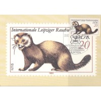 ALEMANHA ORIENTAL - MÁXIMOS POSTAIS - 1982 - FAUNA GERAL 