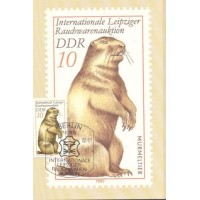 MÁXIMOS POSTAIS - ALEMANHA ORIENTAL- FAUNA GERAL - 1982 