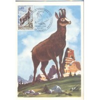 REPUBLICA FRANCESA - MÁXIMOS POSTAIS - 1971 - FAUNA GERAL 