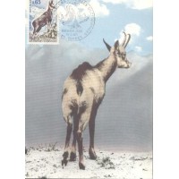 FRANÇA - 1971 - FAUNA GERAL - MÁXIMOS POSTAIS