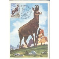 MÁXIMOS POSTAIS - REPUBLICA FRANCESA - 1971 - FAUNA GERAL 