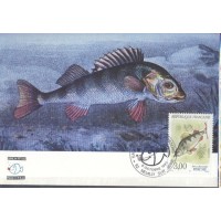 REPUBLICA FRANCESA - 1990 - FAUNA GERAL  - MÁXIMOS POSTAIS