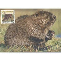 AUSTRIA - MÁXIMOS POSTAIS - 1982 - FAUNA GERAL 