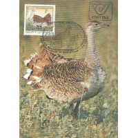 REPUBLIK OSTERREICH - MÁXIMOS POSTAIS - FAUNA GERAL - 1982