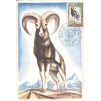 FRANÇA - MÁXIMOS POSTAIS - 1969 - FAUNA GERAL 