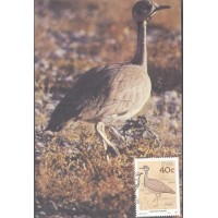 SWA - MÁXIMOS POSTAIS - 1988 - FAUNA GERAL 