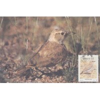 AFRICA DO SUL - MÁXIMOS POSTAIS - 1988 - FAUNA GERAL 