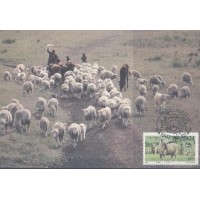 TRANKEI - MÁXIMOS POSTAIS - 1987 - FAUNA GERAL 