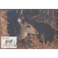 TRANSKEI - MÁXIMOS POSTAIS - FAUNA GERAL - 1988