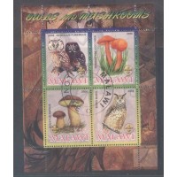 MALANI - CORUJA E COGUMELO