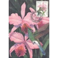 MAX-152/154 - 1991 - BRAPEX 91 - BEIJA FLORES E ORQUÍDEAS - CARIMBO CBC - RHM R$ 78,75 (15,75 UFS X R$ 5,00)