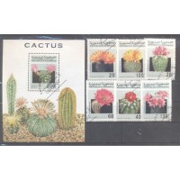 SAHARA OCID - FLORES