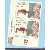 NAMBIA - 2008 - INSETOS