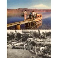 ISRAEL - CARTÃO POSTAL - CLT/VEN 47641 - DOIS LINDOS CARTÕES POSTAIS COM VISTAS DE ISRAEL UM EM SÉPIA E OUTRO COLORIDO OS DOIS DA DÉCADA DE 60 CIRCULADOS