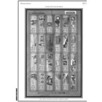 SUPLEMENTO ÁLBUM BRASIL - ANO 2013