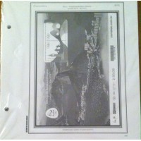 SUPLEMENTO ÁLBUM BRASIL - ANO 2015