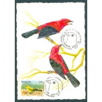 C-1036 - TIÊ-SANGUE -  CARTÃO POSTAL