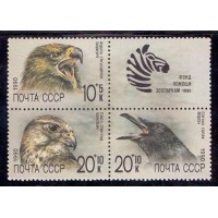 UNIÃO SOVIÉTICA - 1990 - FAUNA - PÁSSAROS - ÁGUIA - FALCÃO - CORVO - QUADRA - RÚSSIA 