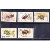 ROMENIA - FAUNA - INSETO - BEZOURO - 1996