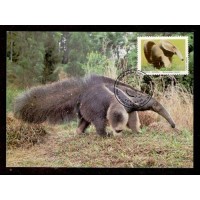 MÁXIMO POSTAL PARTICULAR - TAMANDUÁ - SELO(C1591) + CARIMBO CBC