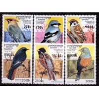CAMBODGE FAUNA - Y 1393/98 ?(1997) - AVES - SELOS DESTINADOS AO COURRIER SEM KMER EXPRESS - SERIE 6 SELOS MINT 