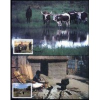 SUDOESTE - 2 MAXIMOS POSTAIS COM OS SELOS Y 554+555 (1986) -  BOIS NO TRABALHO E CASAS INDIGENAS