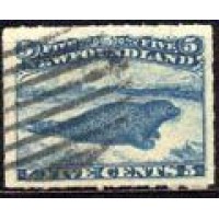 TERRA NOVA - Y 34 (1876-79) 5c AZUL FOCA PERCÉ EM LINHAS - USADO 